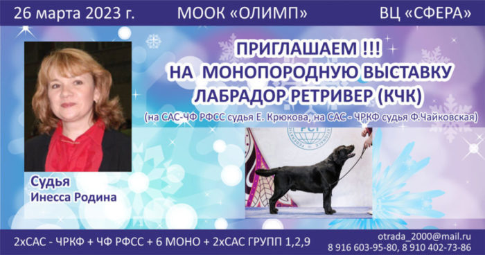выставка лабрадоров в москве